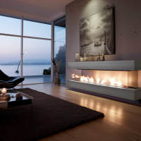 Bioetanol, etanol 80 % Premium 10 l (2 x 5 l) - con efecto c